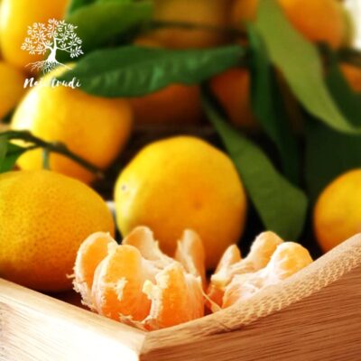Mandarine s OPG Vušković